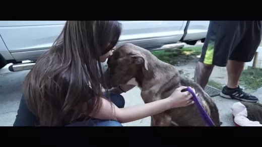 צוות הבריונים של ניו יורק